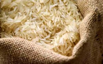موج گرانی برنج به میادین رسید / نیم‌دانه ۲۳‌ هزار تومان!