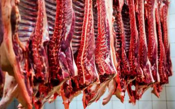 قیمت گوشت قرمز مشخص شد/افزایش دام لاغر در دامداری ها!