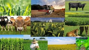 بهره برداری از ۴۰ پروژه بخش کشاورزی در شهرستان مهاباد