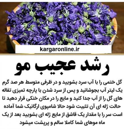 گیاهی که باعث رشد زیاد موی سر می شود